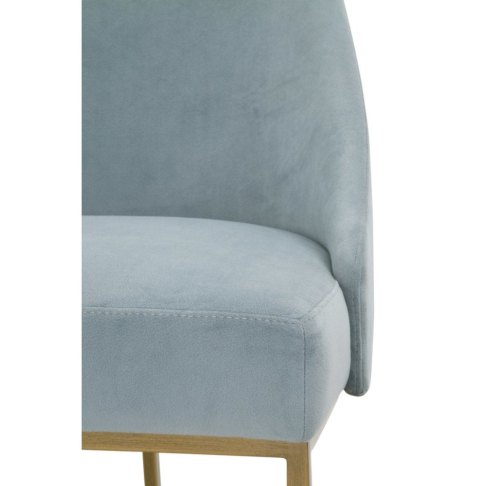 Traditions Transitional Parissa Dining Chair, Set of 2