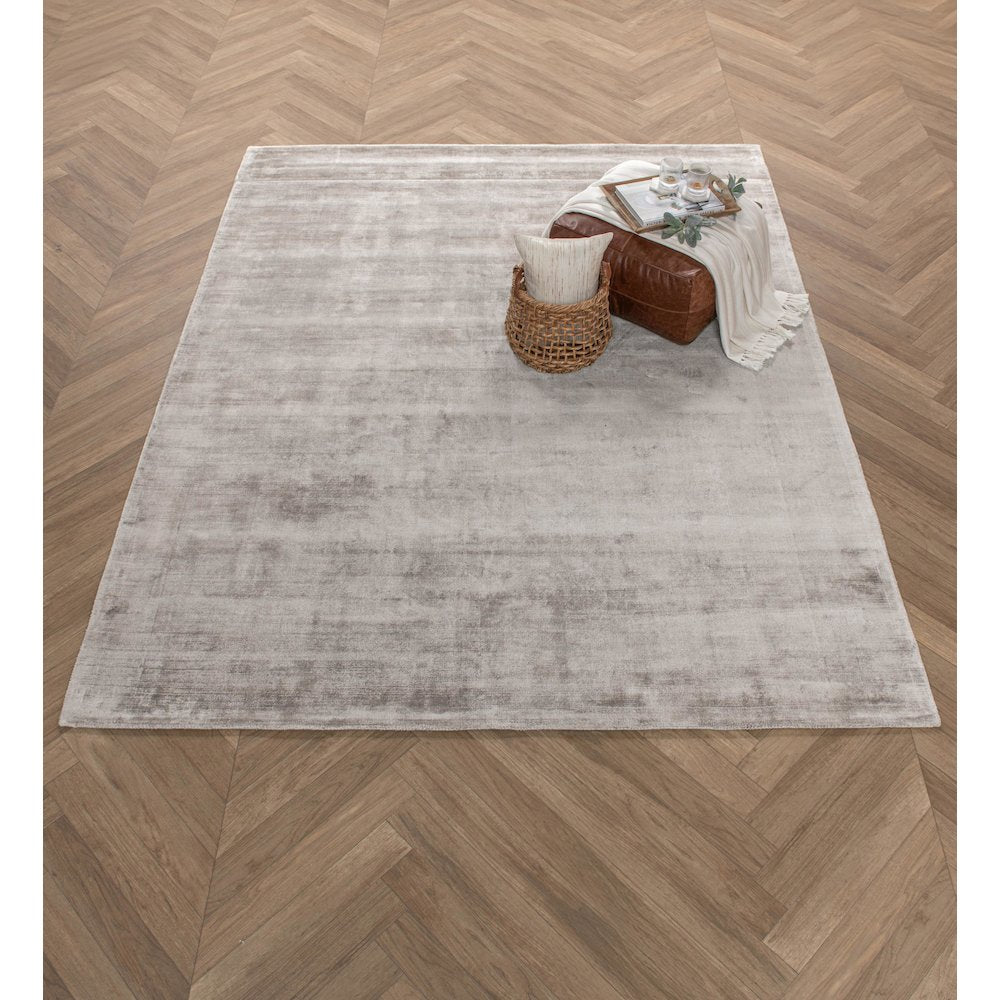Cameron Hand-woven Distressed Viscose Area Rug Dove Gray 9X12