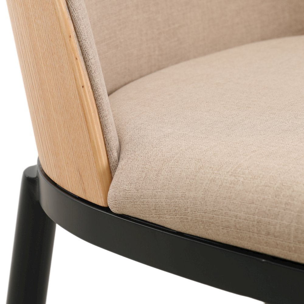 Tule Mid-Century Modern Dining Side Chair Set of 2