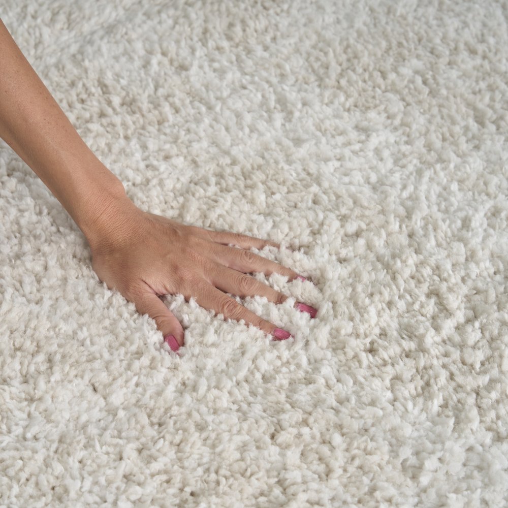 Nourison Home Modern Shag Area Rug
