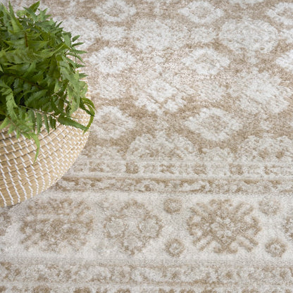 Nourison Home Dekor Area Rug