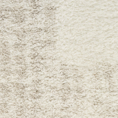 Nourison Home Pacific Shag Area Rug