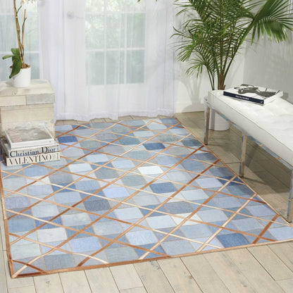 Cooper Denim Area Rug