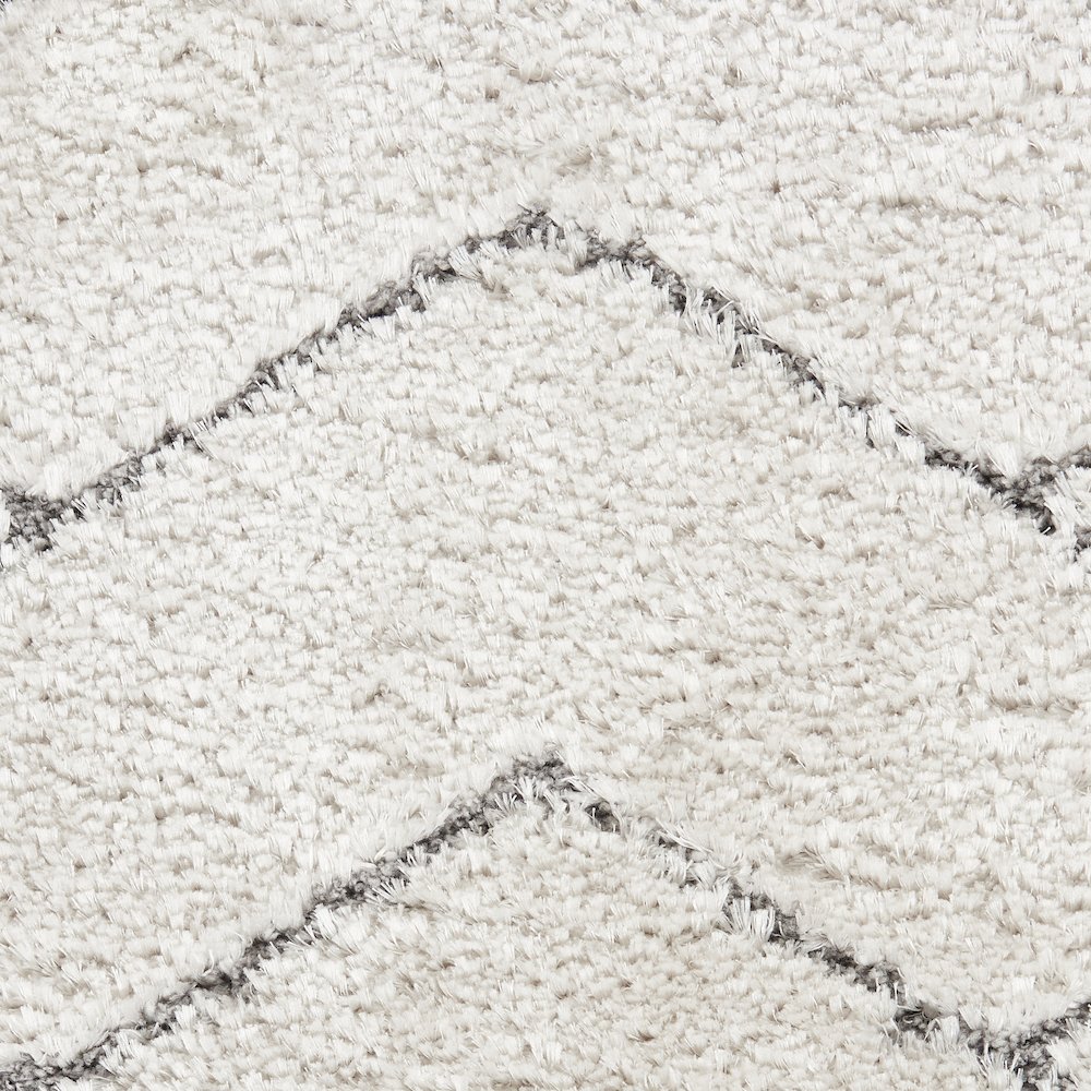 Nourison Home Luxurious Shag Area Rug