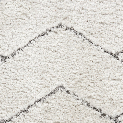 Nourison Home Luxurious Shag Area Rug