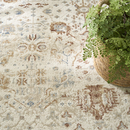 Nourison Home Pardis Area Rug