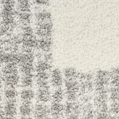 Nourison Home Pacific Shag Area Rug
