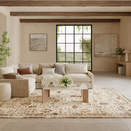 Nourison Home Pardis Area Rug