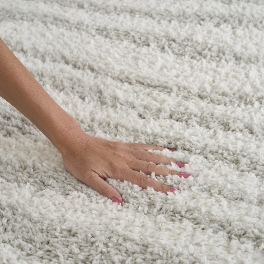 Nourison Home Modern Shag Area Rug