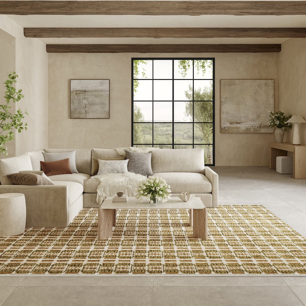Nourison Home Nordic Area Rug