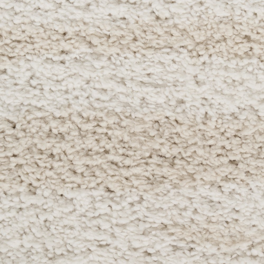 Nourison Home Modern Shag Area Rug