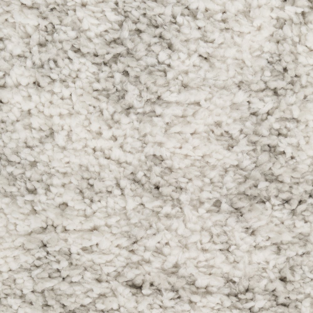 Nourison Home Modern Shag Area Rug