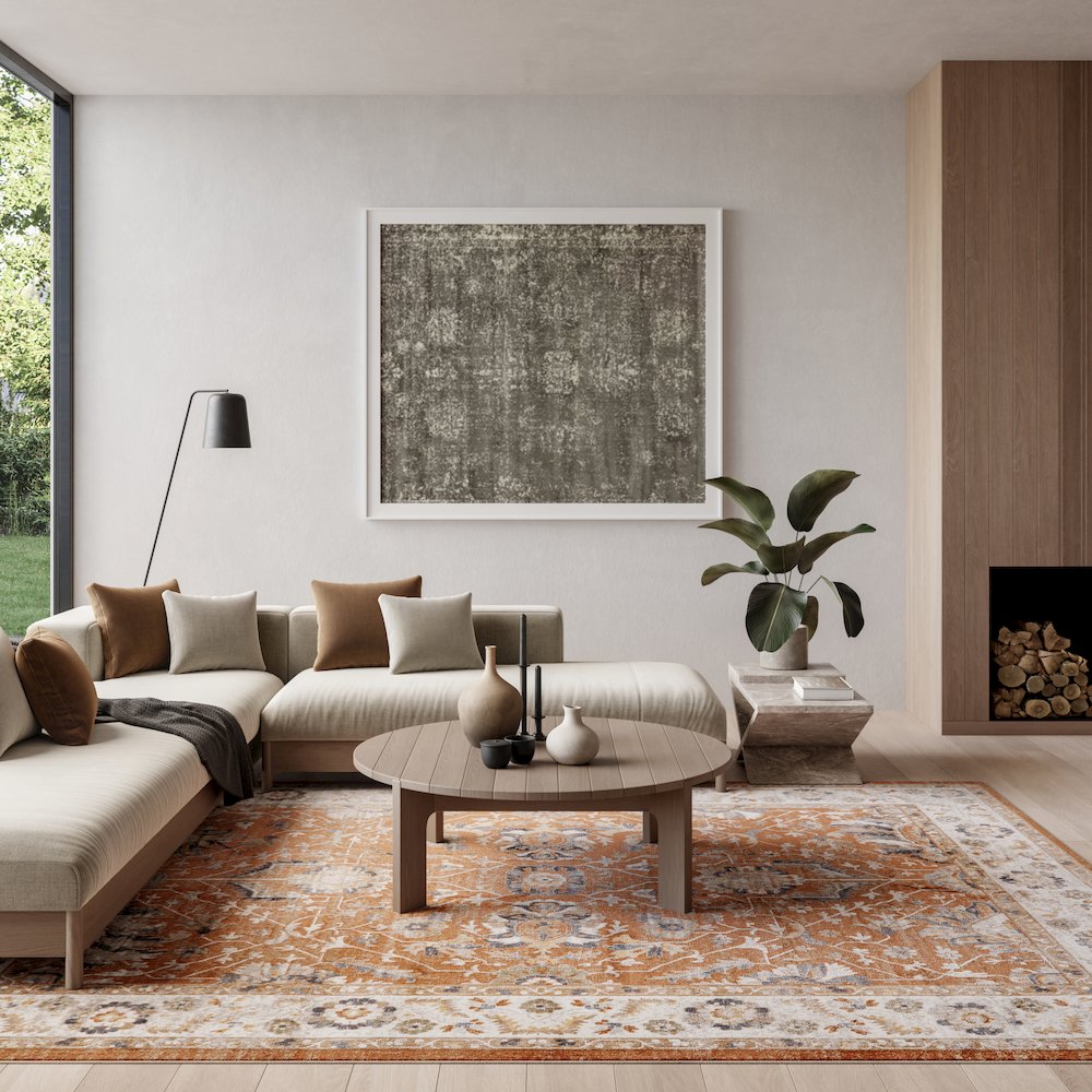 Nourison Home Astra Machine Washable Area Rug