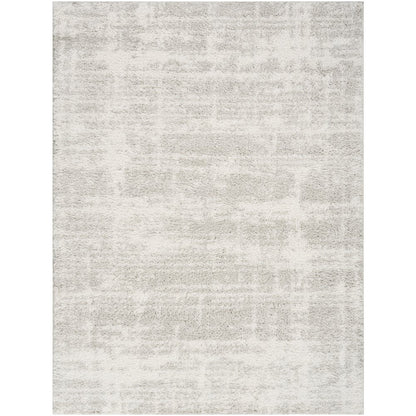 Nourison Home Modern Shag Area Rug