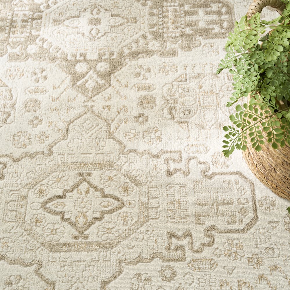 Nourison Home Pardis Area Rug