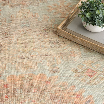 Nourison Home Vintage Washables Area Rug