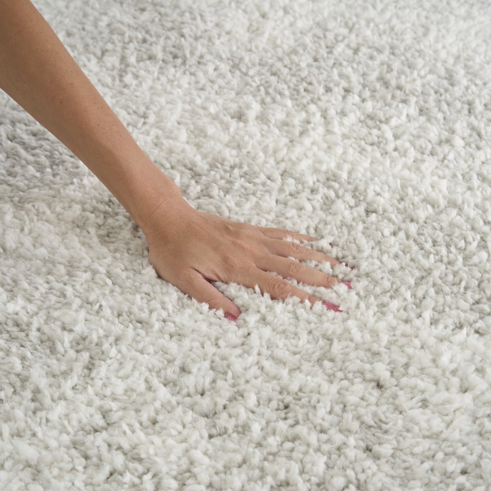 Nourison Home Modern Shag Area Rug