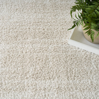 Nourison Home Modern Shag Area Rug