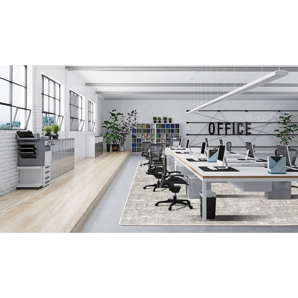 WorkSpace Stretched Thin 10'9" x 13'2" Area Rug in Color Dove