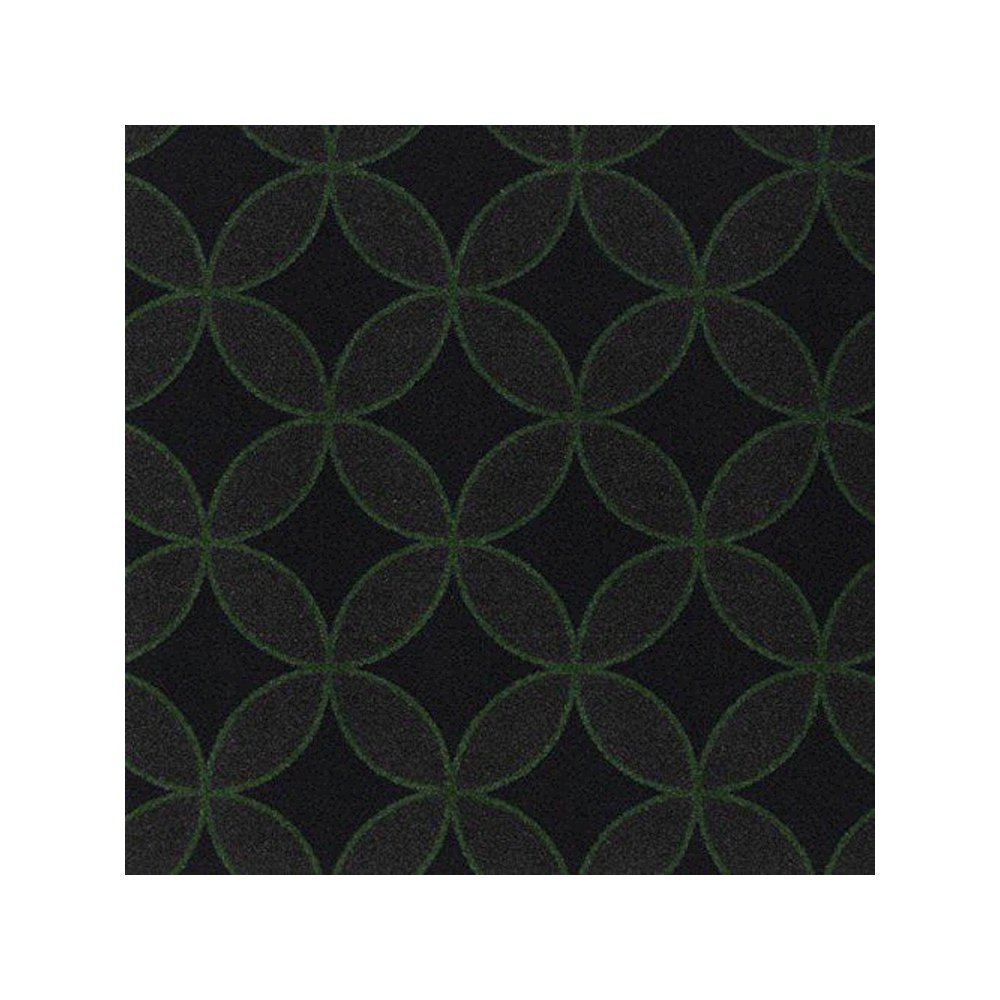 Kaleidoscope Eclipse 7'8" x 10'9" Area Rug in Color Green