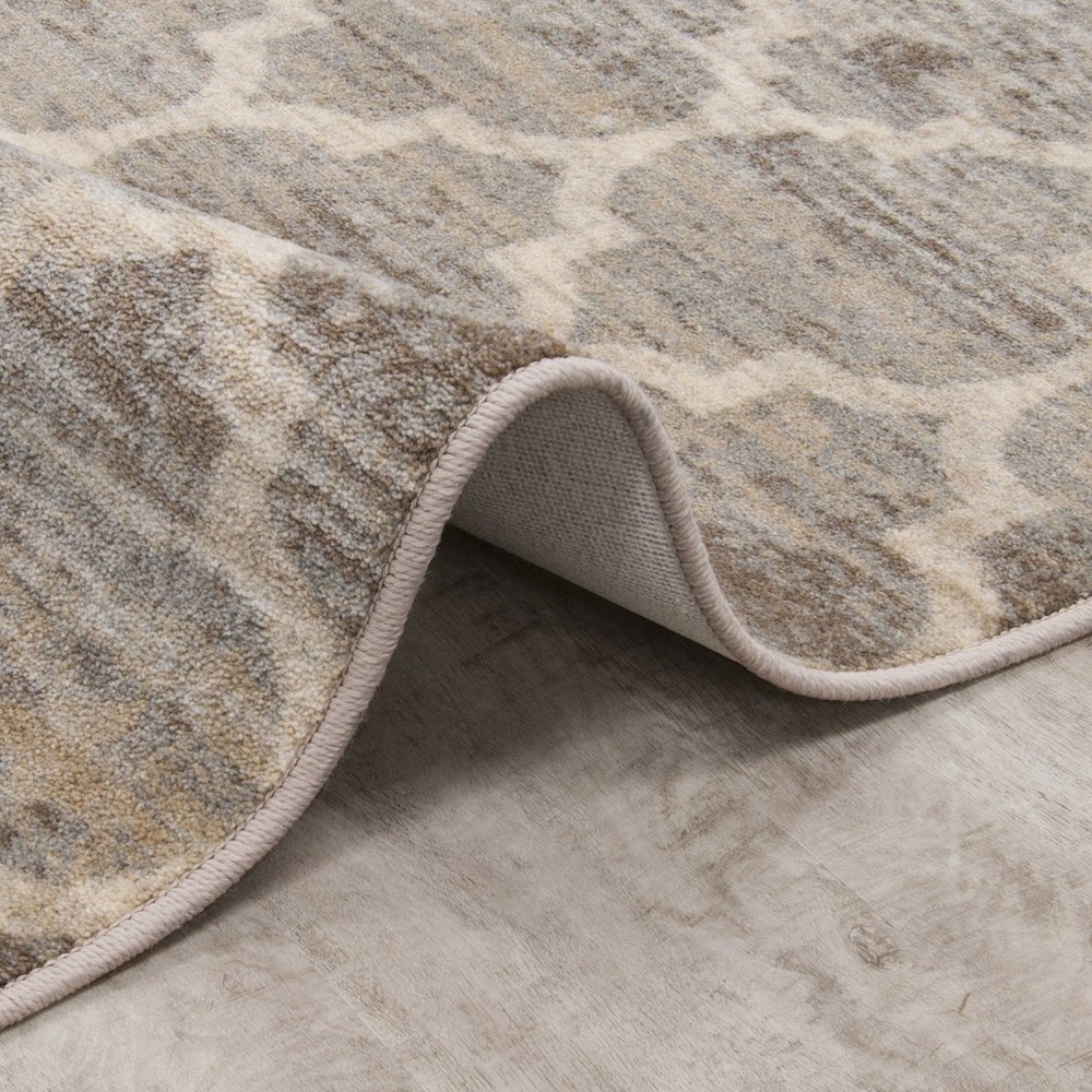 First Take Antique Trellis 3'10" x 5'4" Area Rug in Color Hazelwood
