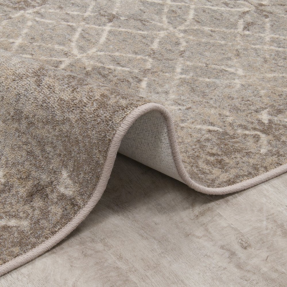 First Take Opposites Attract 3'10" x 5'4" Area Rug in Color Hazelwood