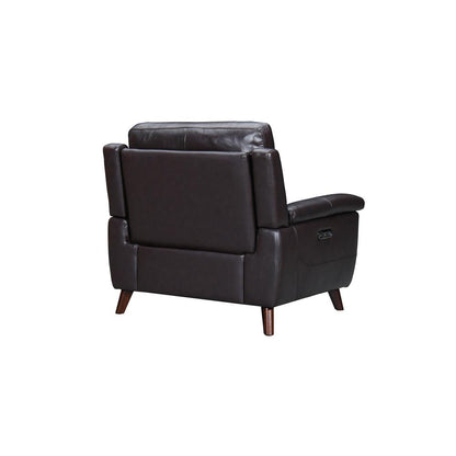 Lizette Brown Leather Power Recliner with USB