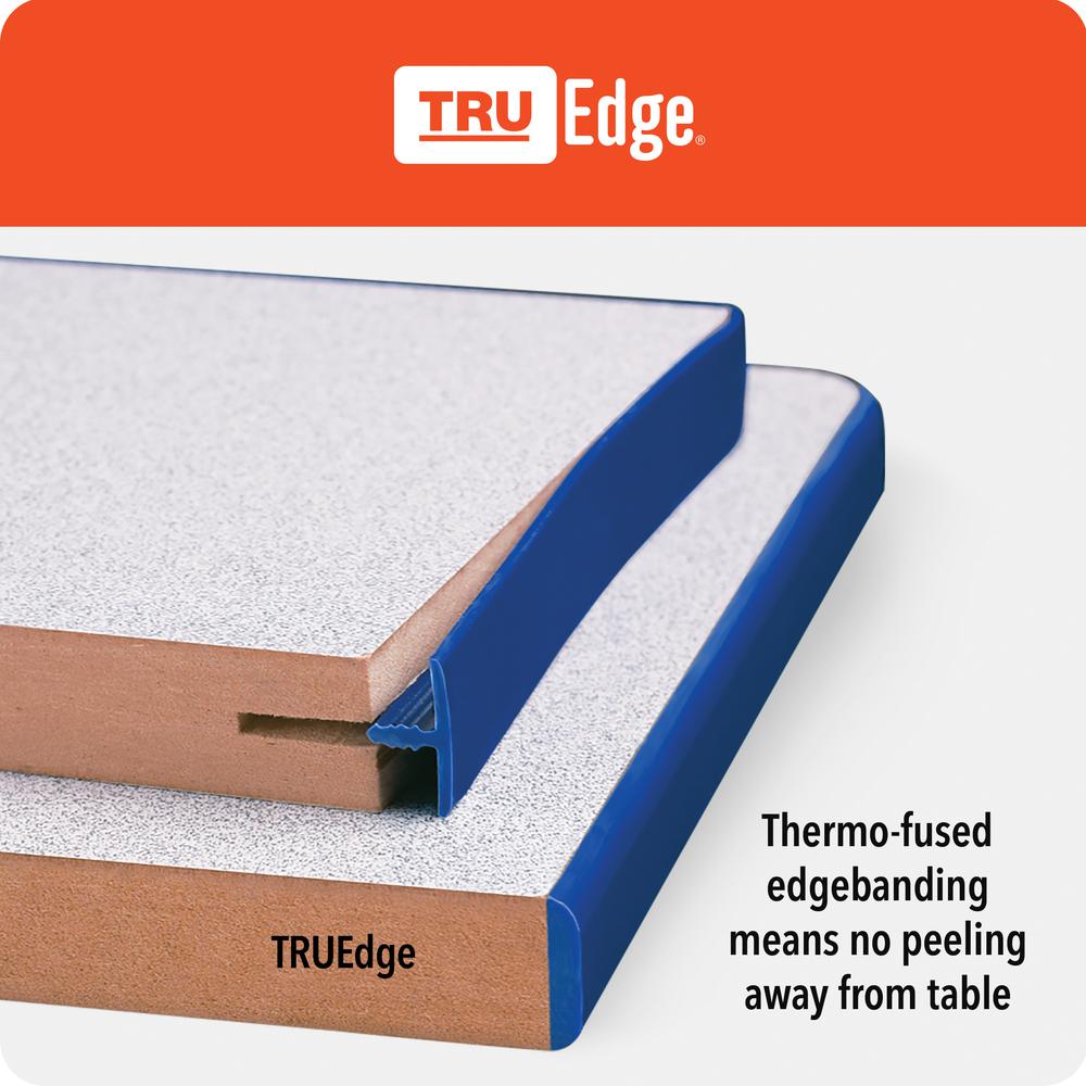 Kidney Activity Table - 48" X 72", E-height