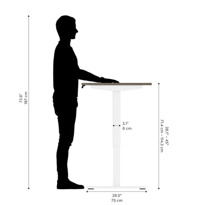 60W x 30D Electric Standing Desk