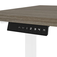 60W x 30D Electric Standing Desk