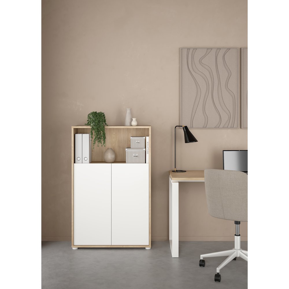 Adjustable 3 Shelf Bookcase with 2 Doors, Open Storage Home Office Bookshelf