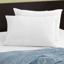 StainGuard® Cotton Terry Pillow Protector KING, White