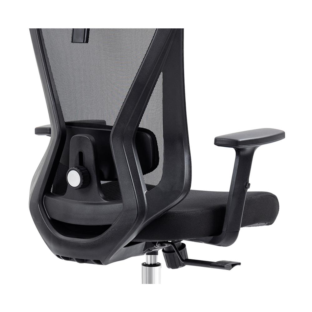 Truly Ergonomic Mesh Office Chair with Headrest & Lumbar Support, Black