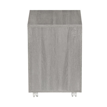 Rolling two Drawer Vertical Filing Cabinet with Lock and Storage, Grey