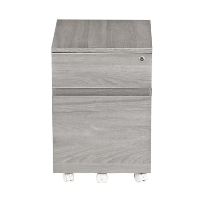 Rolling two Drawer Vertical Filing Cabinet with Lock and Storage, Grey