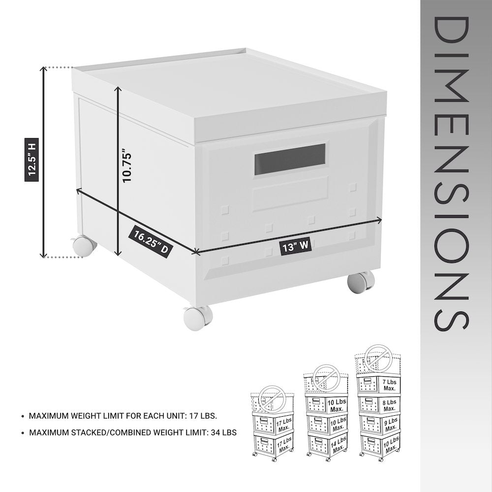Set of 2 Stackable Rolling File Boxes with Lids and 10 Hanging Files