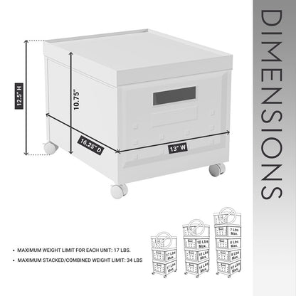 Set of 2 Stackable Rolling File Boxes with Lids and 10 Hanging Files