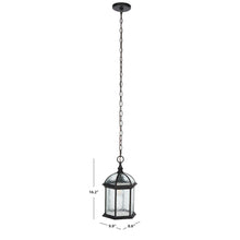 Falyn, 10 Inch, Bronze, Steel/Glass Outdoor Pendant