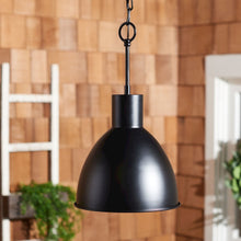 Priestly, 9.84 Inch, Black, Steel Outdoor Pendant