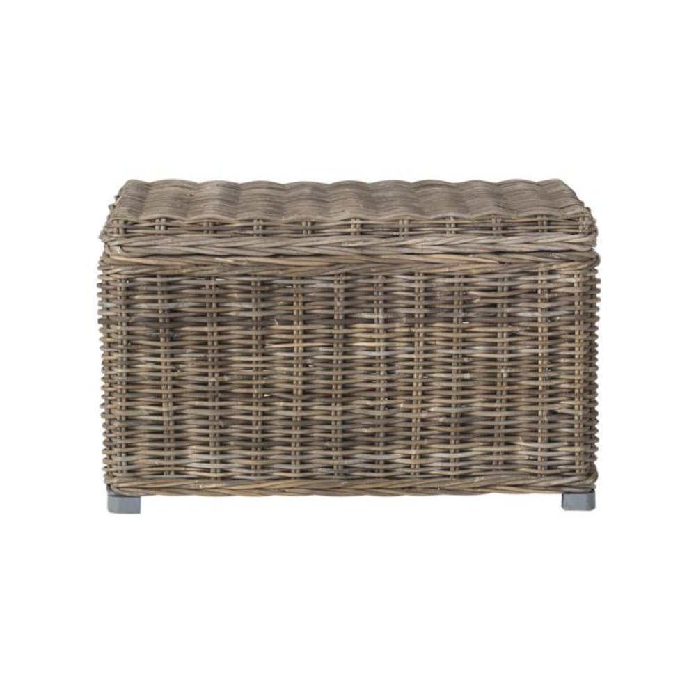 MIKASI WICKER TRUNK