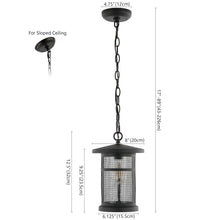 Osprey, 8 Inch, Black, Iron/Glass Extendable Outdoor Pendant