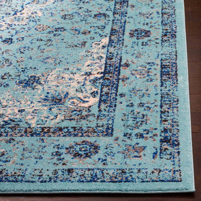 EVOKE, LIGHT BLUE / LIGHT BLUE, 4' X 6', Area Rug