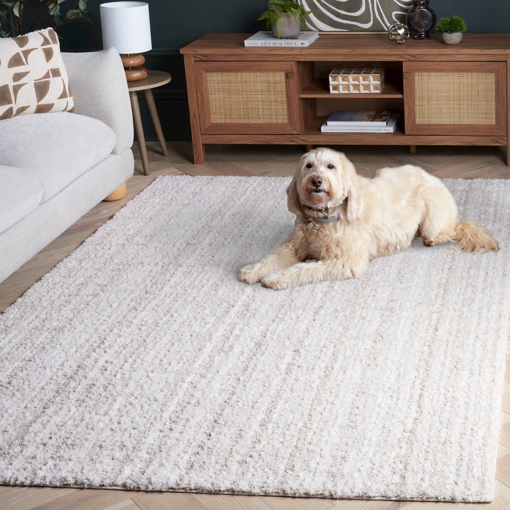Everett Striated Shag Rug - Ivory / Beige - 5'-3" x 7'-0"