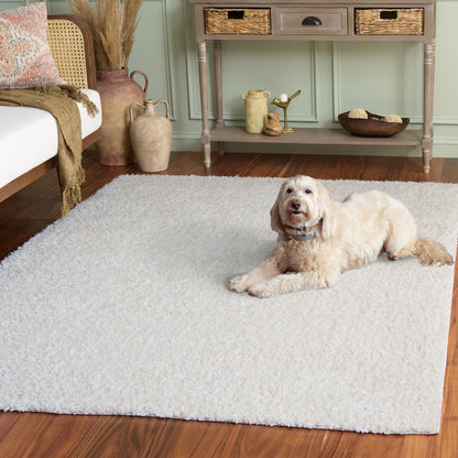 Safavieh Everett Solid Shag Rug - Ivory - 4'-0" x 6'-0"