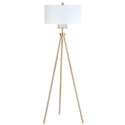 Enrica 66-Inch H Floor Lamp, Brass/Gold