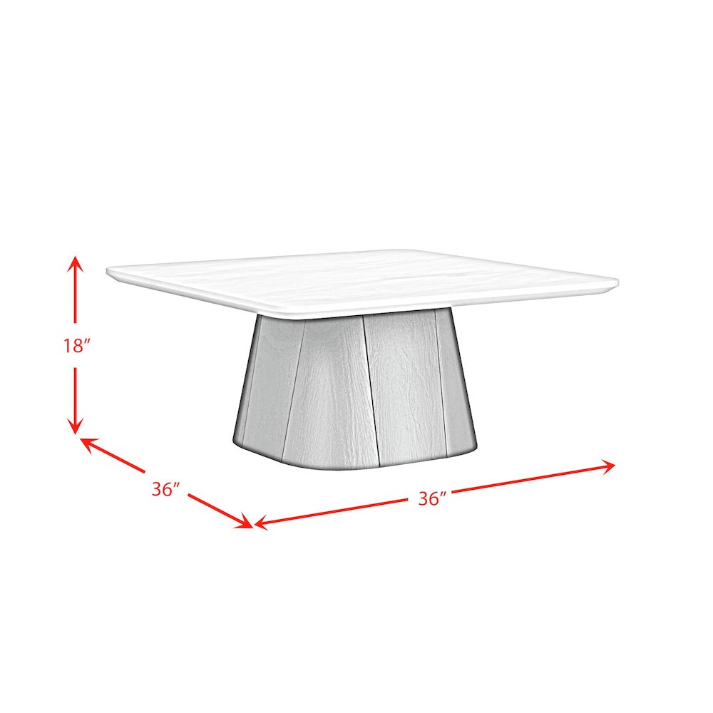 Yuri Coffee Table in White and Black