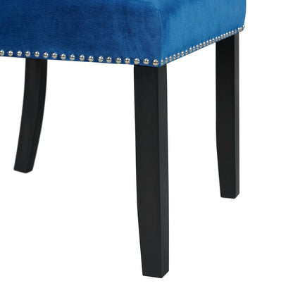 Celine Blue Velvet Side Chair Set