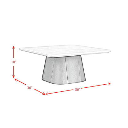 Yuri 2PC Occasional Table Set in White and Black-Coffee Table & End Table