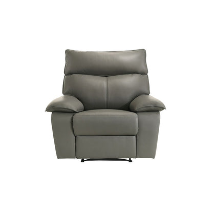 Murray Motion Recliner in Aviarah Grey