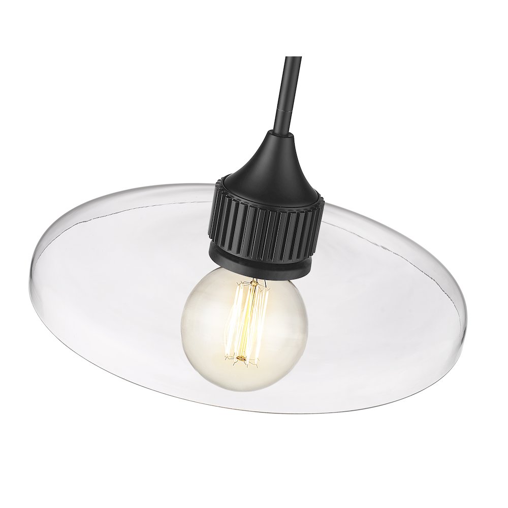 Z-Lite 1 Light Pendant